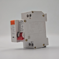 Disjoncteur différentiel miniature en plastique TPNL DPNL 230V 2P avec protection contre les surintensités et les fuites de courant RCBO MCB