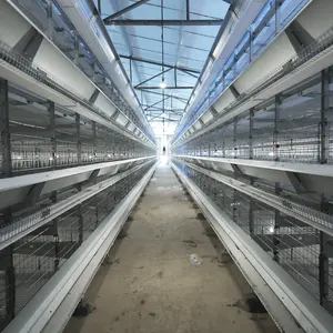Günstiger Preis Q235 Heiß verzinkung Geflügel Broiler Batterie Ei Vogel Geflügel Ausrüstung Farm Layer Chicken Farming Cage Coop House