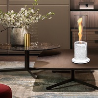 Inno vivant TT-10 biocarburant cheminée toronto lampe à alcool en acier inoxydable