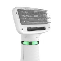 Sèche-cheveux et brosse 2-en-1 pour animaux de compagnie, à piles, en plastique, portable, avec moteur sans balais