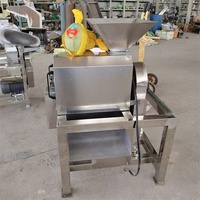 Enkel/Dubbel Kanaals Ananas & Mango Fruit Schil-, Ontpit-, Klopmachine, Pureermachine, Motor, Hoge Productiviteit, 380V