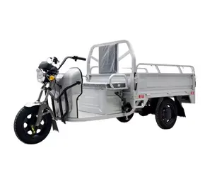 Electric Treecycle Tricycles Cargo Motorcycle Ecargo Bike Tricycle Motorcycle Electric Motor E Tricycle Electric For Adults