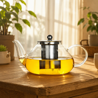 Théière en verre borosilicate transparent de 600 ml (20 oz) compatible avec les plaques de cuisson, avec infuseur à thé et café en acier inoxydable