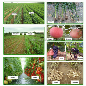 Großhandel Landwirtschaftlicher Organischer Dünger Granulat NPK <span class=keywords><strong>2</strong></span>-1-1 Verbunddünger Huminsäure Seetang Preis pro Tonne - Product Image 4