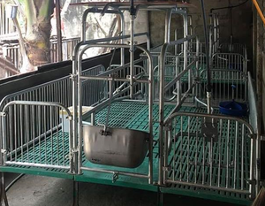 Duy Nhất Loại Thùng Đẻ Chăn Nuôi Lợn Lợn Nuôi Thiết Bị - Product Image 5