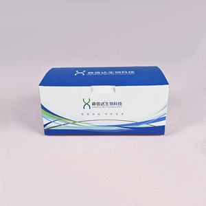 <span class=keywords><strong>Caja</strong></span> <span class=keywords><strong>de</strong></span> impresión <span class=keywords><strong>de</strong></span> papel <span class=keywords><strong>de</strong></span> calidad personalizada Kit <span class=keywords><strong>de</strong></span> prueba <span class=keywords><strong>de</strong></span> orina <span class=keywords><strong>de</strong></span> embarazo Medicina farmacéutica <span class=keywords><strong>Caja</strong></span> <span class=keywords><strong>de</strong></span> embalaje <span class=keywords><strong>de</strong></span> cartón con impresión - Product Image 6