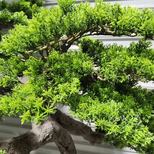 Bonsái Artificial <span class=keywords><strong>de</strong></span> Pino Hecho a Mano, 100% <span class=keywords><strong>de</strong></span> Aspecto Natural, <span class=keywords><strong>para</strong></span> Decoración <span class=keywords><strong>de</strong></span> Interiores del Hogar, Halloween, Navidad, Plástico Duradero - Product Image 4