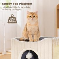 Lit pour chat 3-en-1 pour chats d'intérieur avec griffoir et boule suspendue, coussin lavable, grande cachette pliable pour chat