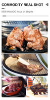 SEB KAMADO barbique tandoori four d'argile accessoires Charbon Cheminée D'allumage