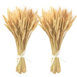 Paquet de tiges de blé <span class=keywords><strong>séchées</strong></span> naturelles pour bricolage décor de cuisine à la maison gerbes de blé séché <span class=keywords><strong>bouquet</strong></span> floral de blé séché conservé - Product Image 1