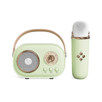 Haut-parleur Karaoké 1000 mAh avec Micro, Bluetooth, Radio FM Portable – Vente en Gros Usine