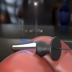 Peredam kejut elektrik puting vagina klip SM hukuman alat seksual sumbat anal produk seksual elektroda ganda - Product Image 3