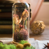 Kuppelförmiges Glasgefäß mit Korkverschluss und Glockenförmigem Deckel, Geeignet zur Dekoration von Blumen, Pflanzen und Kunsthandwerk