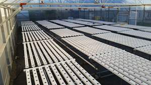 100x50mm NFT Tuyau UPVC Tuyau Hydroponique Canal NFT <span class=keywords><strong>pour</strong></span> La Laitue Céleri Poireau Moutarde - Product Image 3