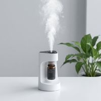 Diffuser Aroma Desktop Minyak Esensial Murni Tanpa Air, Timer 3 Tingkat, Daya Ganda Tipe C, Hitam Putih, Grosir Pabrik OEM ODM
