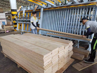 Machine de presse hydraulique pour le bois, carton en bois laminé, bon marché