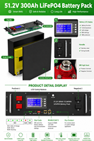 Batterie au lithium CERRNSS EU avec garantie de 10 ans, moniteur PC, stockage d'énergie domestique 15 kWh, batterie LiFePO4 48V 100AH 150AH 200AH 300AH