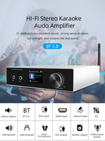 En Ucuz 2.1 Mini Ses Amplifikatörleri Ev Karaoke Sistemi Kablosuz Mikrofonlar, Stereo Amfi'li Kablosuz Mikrofon I Bas