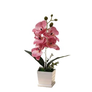 Planta Artificial de Orquídea Phalaenopsis Paulon de 34 cm, Color Rosa, en Maceta, Decoración para el Hogar y la Oficina - Product Image 5