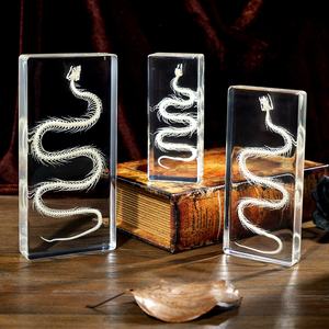 <span class=keywords><strong>Esqueleto</strong></span> <span class=keywords><strong>de</strong></span> Serpiente Real en Resina, <span class=keywords><strong>Esqueleto</strong></span> <span class=keywords><strong>de</strong></span> Animal Preservado, Espécimen <span class=keywords><strong>de</strong></span> Insecto, Juguetes Educativos para la Enseñanza, Recurso Didáctico, Regalo Original - Product Image 4