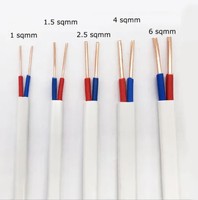 Harga Pabrik 14/2 14/3 12/2 12/3 10/2 10/3 Kabel Listrik Bangunan Kawat Bangunan Berisolasi PVC Konduktor Tembaga Nmd90 AWG 14/2