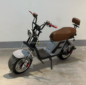 Moto électrique pour adultes, marché brésilien, CE, 2 roues, guidon de 69 cm, moto électrique 1000w, moto électrique 60V - Product Image 2