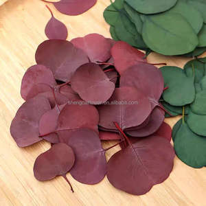 Feuilles d'eucalyptus naturelles personnalisées 100% feuilles d'eucalyptus préservées pour confettis de mariage/décoration de gâteau - Product Image 2