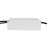Controlador LED Triac Regulable para Luz de Techo, 120v CA 40w 60w 100W 300ma 36v 42v 48v CC, Controlador LED de Corriente Constante con Atenuación Triac