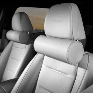 Plateau de console Tasman, boîte de rangement pour console centrale de voiture, organiseur universel pour véhicule, accessoire intérieur - Product Image 1