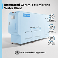 Système complet de traitement de l'eau Yongguan YG-TB/C 50L-350L/H, filtration par membrane céramique, membrane céramique, puissance 1,5 kW, 220 V, garantie 1 an
