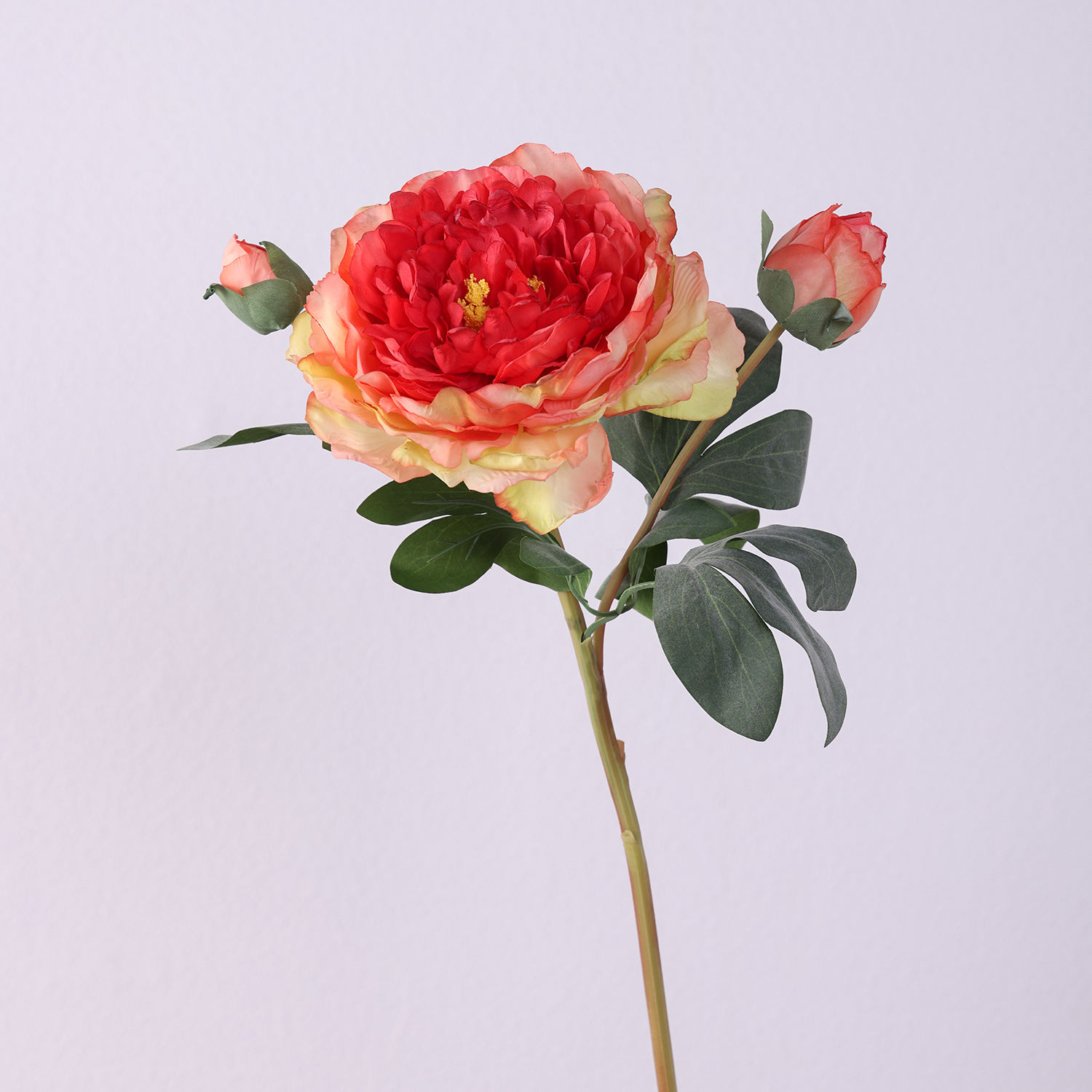 สีแดงอ่อน