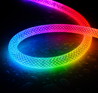 Bande LED flexible en silicone, néon tressé RGB adressable WS2811, 360 degrés, DC24V, étanche IP67, couleur de rêve