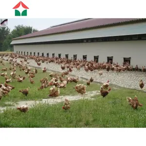 Casa de pollo comercial de estructura metálica prefabricada de China/gallineros a la venta