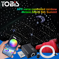 Starry Sky Top Luces ambientales Decoración Efecto de música Tira de luz interior del coche Cable de fibra óptica RGBW Starlight