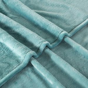 Hoge Kwaliteit Custom Logo Polyester Manta De Franela Pluche Nertsdekens Voor De Winter - Product Image 5