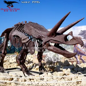 Triceratops Dinosaur Fiberglass Fossil Skeleton Museum Standard Fossil