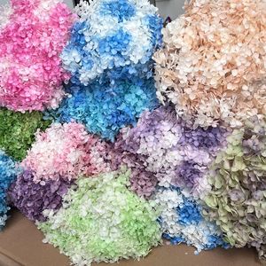 ดอกไฮเดรนเยียแอนนาเบลล์ไล่เฉดสีขาว ฟ้า ชมพู หลากสี ขายส่ง สำหรับตกแต่งงานแต่งงาน ตกแต่งบ้าน งานฝีมือ DIY - Product Image 1
