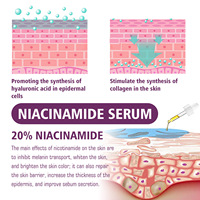 Niacinamide Vitamine C Anti-rides Hydratant Élastifiant pour le Visage Soin Liquide Éclat Illuminateur Taches Pores Délicats