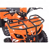 Motor ATV Listrik Mini CE untuk Anak-Anak dengan Motor 36V 500W dan Baterai Asam Timbal 36V 12Ah