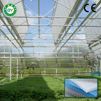 Grote polycarbonaat kasconstructie voor de landbouw met gegalvaniseerd stalen frame en externe schaduwafwerking