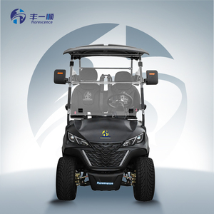New Golf Cart 2 Seater <strong>Black</strong> Off-Road Utility EV Golf <strong>Buggy</strong> - Product Image 3