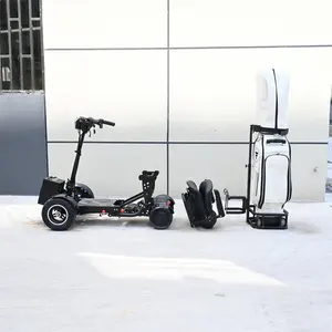 Well Priced C Sturdy And Folds Compactly Foldable Mobility Scooters Electric 4 Wheel Detachable Electric Motor Golf Cart