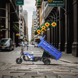 Tricycle Adult/dump Motorized Tricycle/zongshen Engine 200cc250cc300cc Cargo Tricycle - Product Image 4