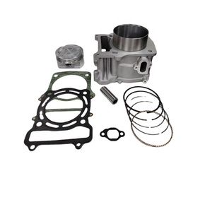 Motorrad-Motorzylinder sind geeignet für Hisun HS550 ATV UTV 550 P0150001211A0000. - Product Image 1