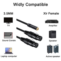 Usine OEM 3.5mm Femelle Jack vers Double 3 Broches XLR Femelle Stéréo Câble Double Xlr vers 3.5MM TRS Mic Câble Adaptateur Câbles Audio