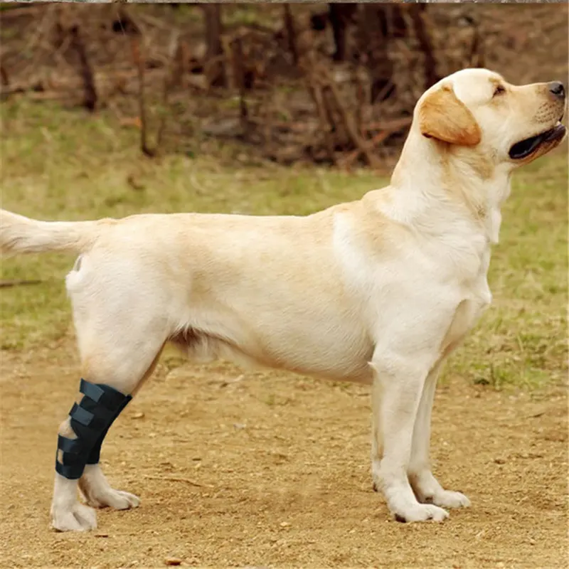 Köpek ön bacak sıkıştırma köpek bilek koruyucu diz desteği yaralar korur Brace iyileştirir