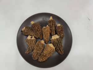 Toptan fiyat organik kurutulmuş Morel mantar Morilles yüksek kalite taze kurutulmuş morchella mantar mantar - Product Image 3