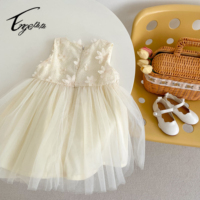 Robe de fête pour bébé fille en coton, vêtements pour nouveau-né Enge 2025, été, dentelle ancienne, anniversaire, jupe mignonne, vente en gros