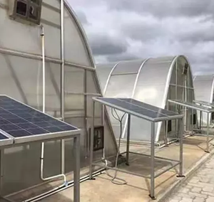 Năng lượng mặt trời nhà kính Máy sấy trái cây và rau dehydrator năng lượng mặt trời làm khô thiết bị để bán - Product Image 5