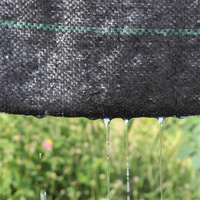 Rouleau de tissu UV de stabilisation Couvre-sol agricole Pépinière Membrane de contrôle des mauvaises herbes Tapis de mauvaises herbes tissé en PP noir